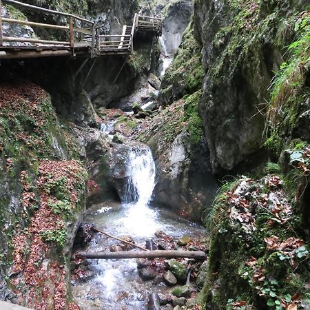 Ferienwohnung Pyhrgasblick Rosenau am Hengstpass المظهر الخارجي الصورة
