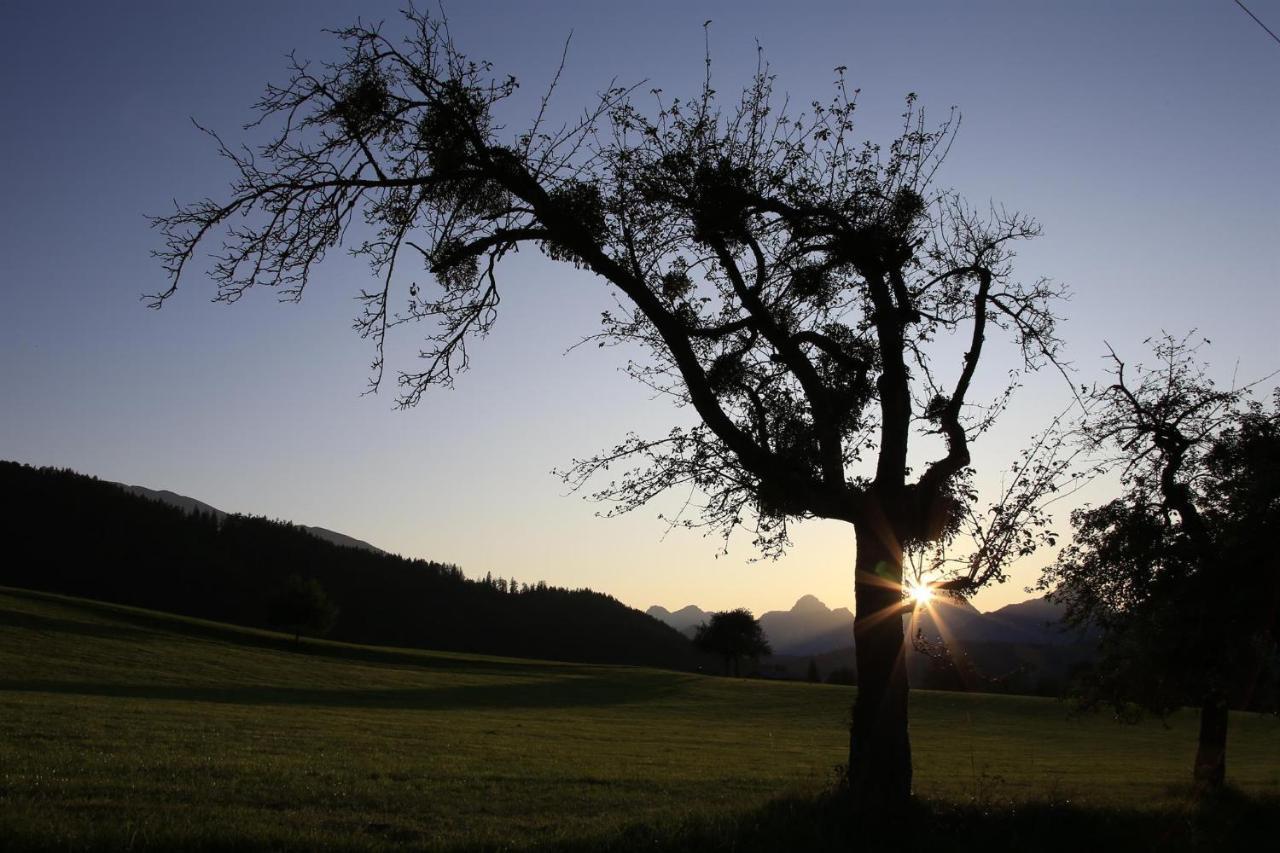 Ferienwohnung Pyhrgasblick Rosenau am Hengstpass المظهر الخارجي الصورة
