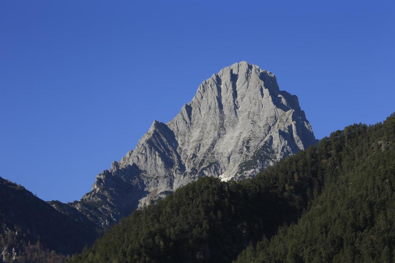 Ferienwohnung Pyhrgasblick Rosenau am Hengstpass المظهر الخارجي الصورة