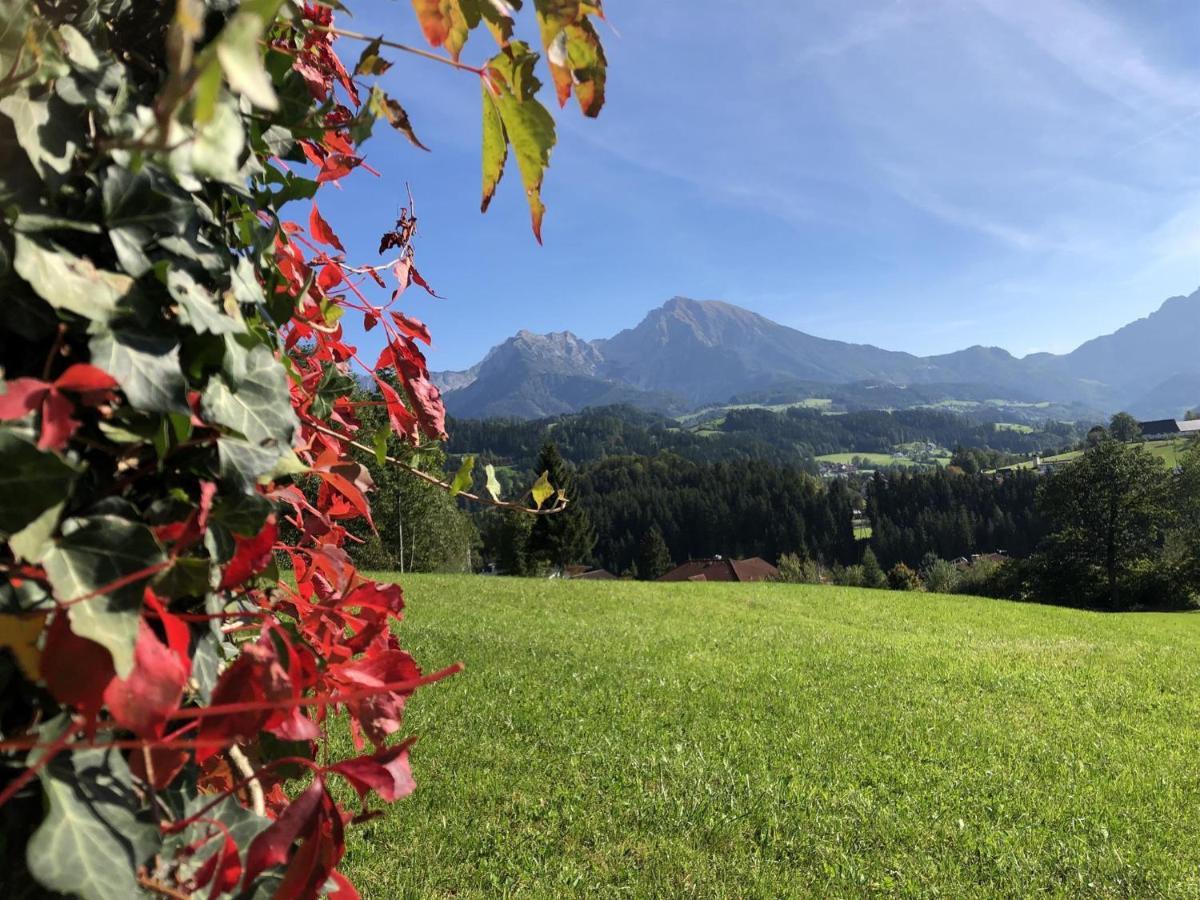 Ferienwohnung Pyhrgasblick Rosenau am Hengstpass المظهر الخارجي الصورة