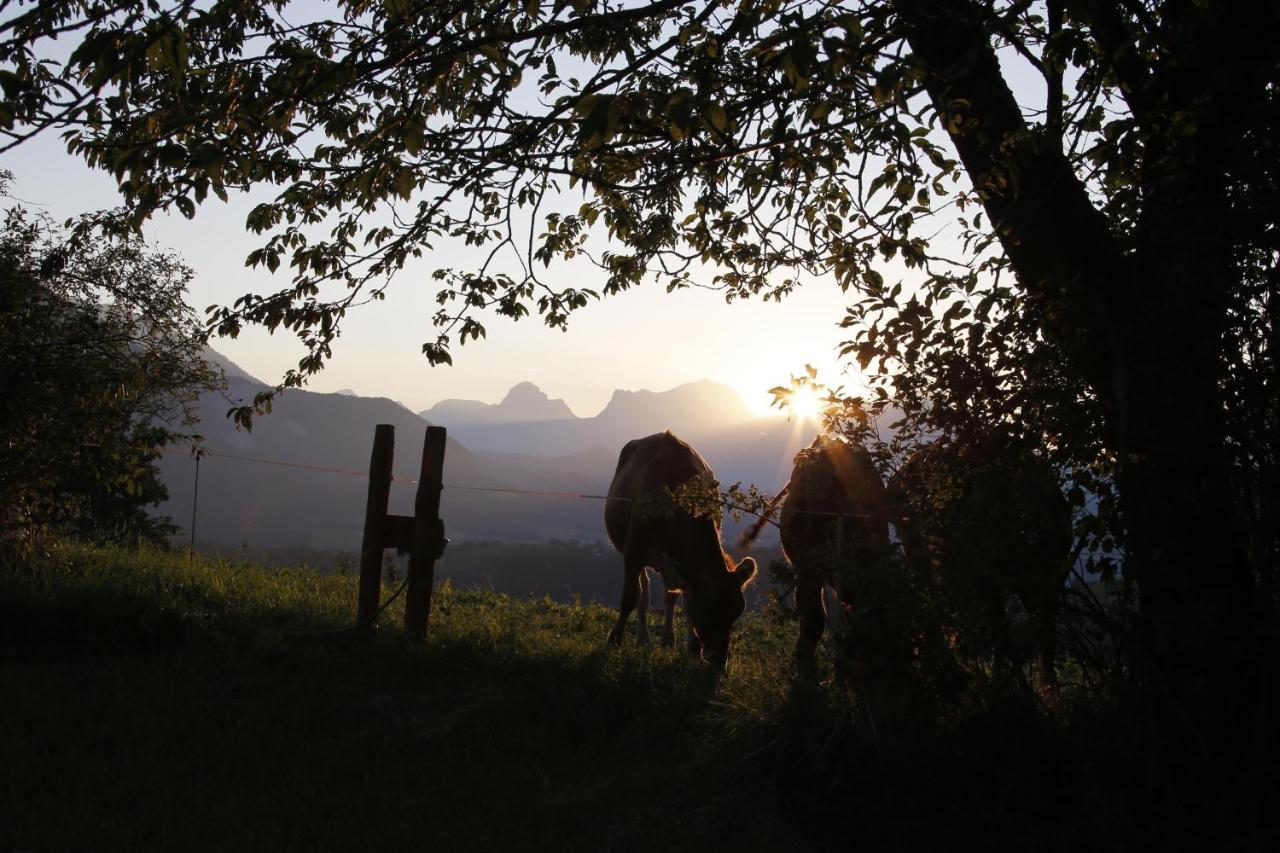 Ferienwohnung Pyhrgasblick Rosenau am Hengstpass المظهر الخارجي الصورة
