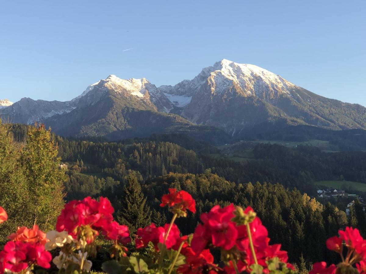 Ferienwohnung Pyhrgasblick Rosenau am Hengstpass المظهر الخارجي الصورة