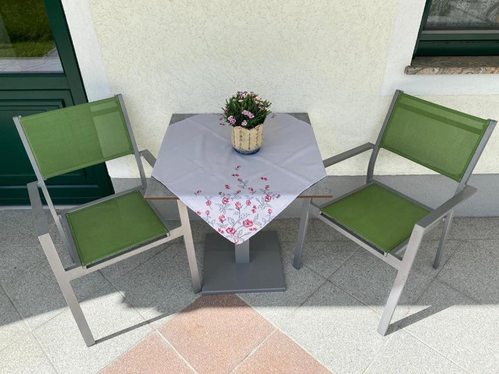 Ferienwohnung Pyhrgasblick Rosenau am Hengstpass المظهر الخارجي الصورة