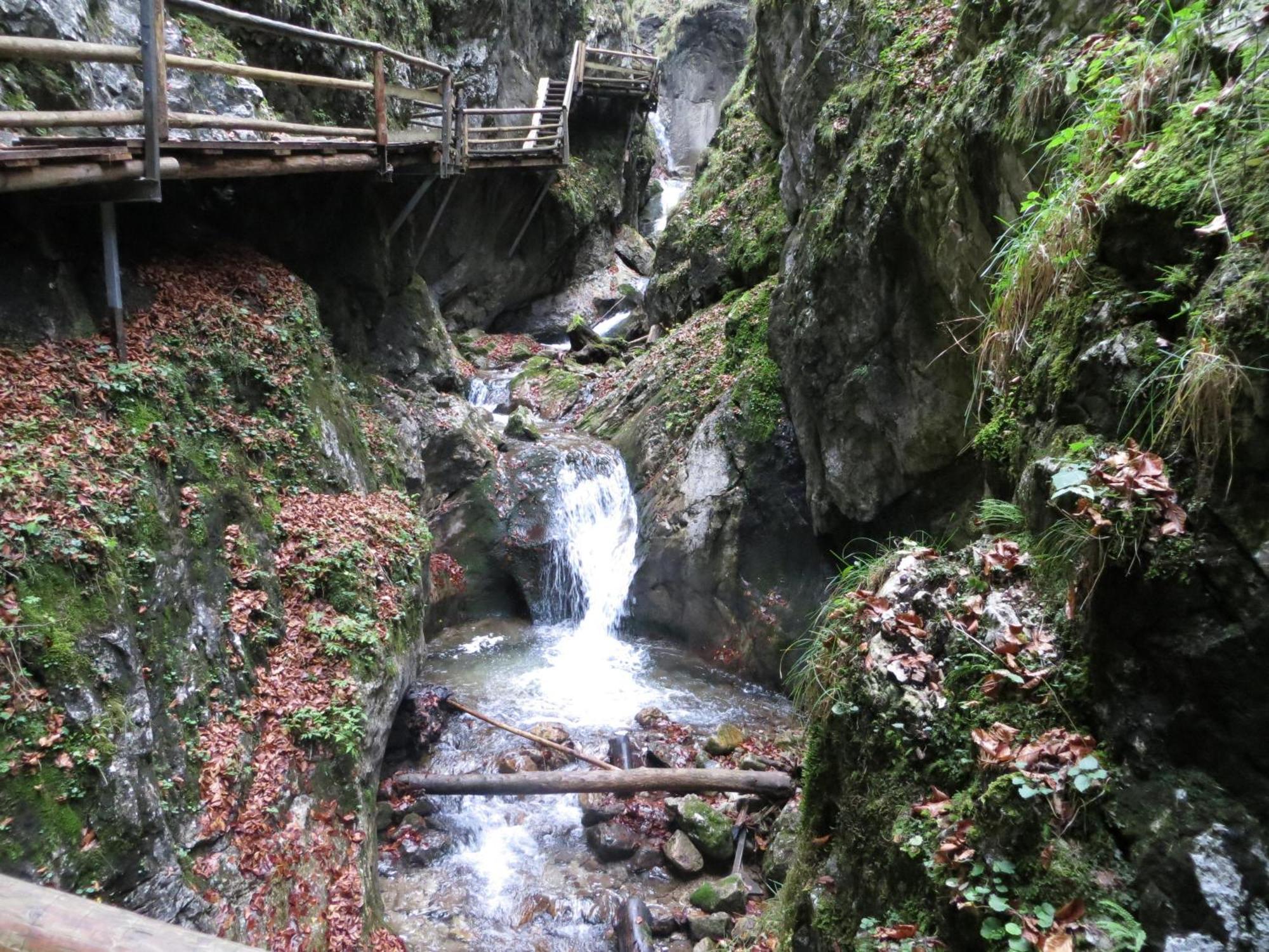Ferienwohnung Pyhrgasblick Rosenau am Hengstpass المظهر الخارجي الصورة
