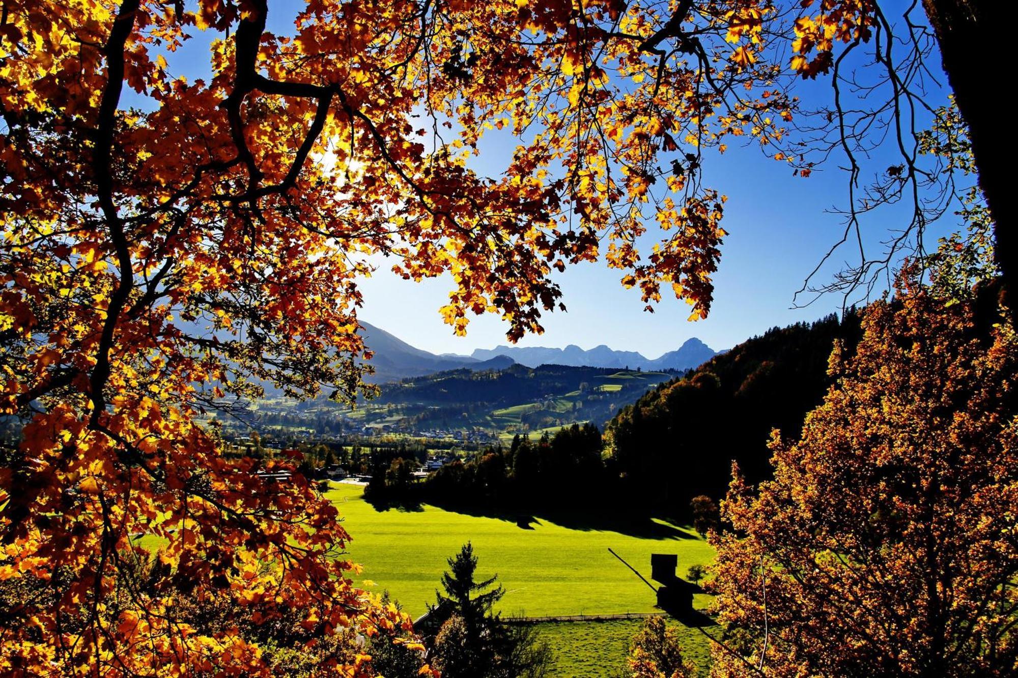 Ferienwohnung Pyhrgasblick Rosenau am Hengstpass المظهر الخارجي الصورة
